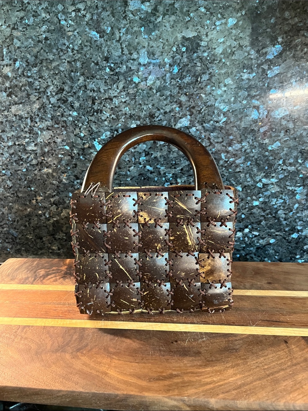 Brown Wooden Handle Coconut Shell Bag